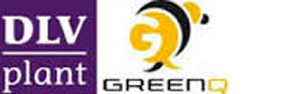 Logo DLV / GreenQ
