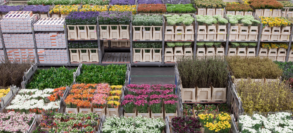 header interne-logistiek