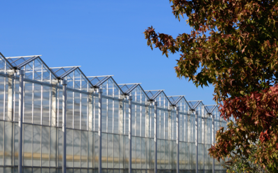 Start onderzoeksprogramma REWIRE over duurzame landbouw en tuinbouwtransitie