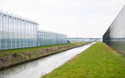 Hoe denkt u over het gebruik van effluent water in de glastuinbouw?