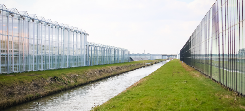 Hoe denkt u over het gebruik van effluent water in de glastuinbouw?