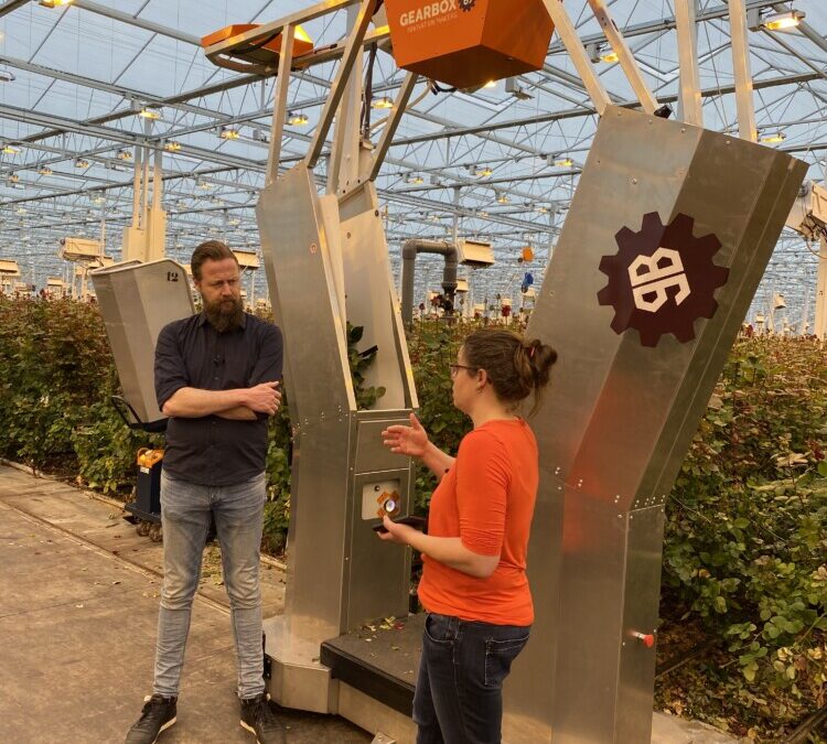 Consortium versnelt ontwikkeling en toepassing van robots in glastuinbouw