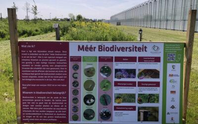 Biodiversiteit in de praktijk