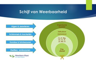 Verslag workshop: In balans met de Schijf van Weerbaarheid