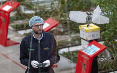 Buitenkans voor tuinbouwsector: experimenteren met 5G