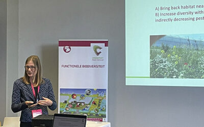 Sessie tijdens ImpactFest over impact van glastuinbouw