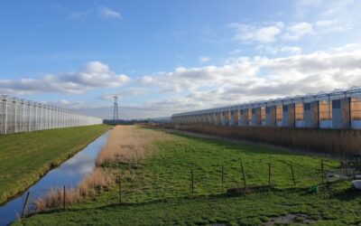 Ondernemers gezocht voor pilot energietransitie in Broekpolder