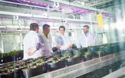 MBO Westland presenteert vernieuwde opleiding Horti Technics & Management mede dankzij bijdrage Nationaal Groeifonds