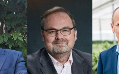 Programma 2025-2030 Greenport West-Holland 