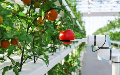 Bijeenkomst ‘High Tech in Agriculture and Horticulture’ bij TU Delft