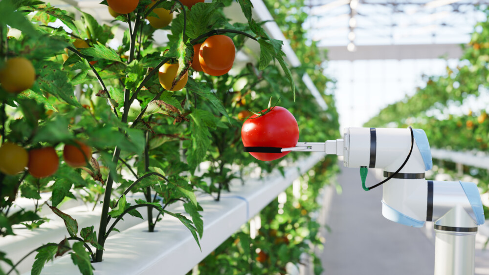 Bijeenkomst ‘High Tech in Agriculture and Horticulture’ bij TU Delft