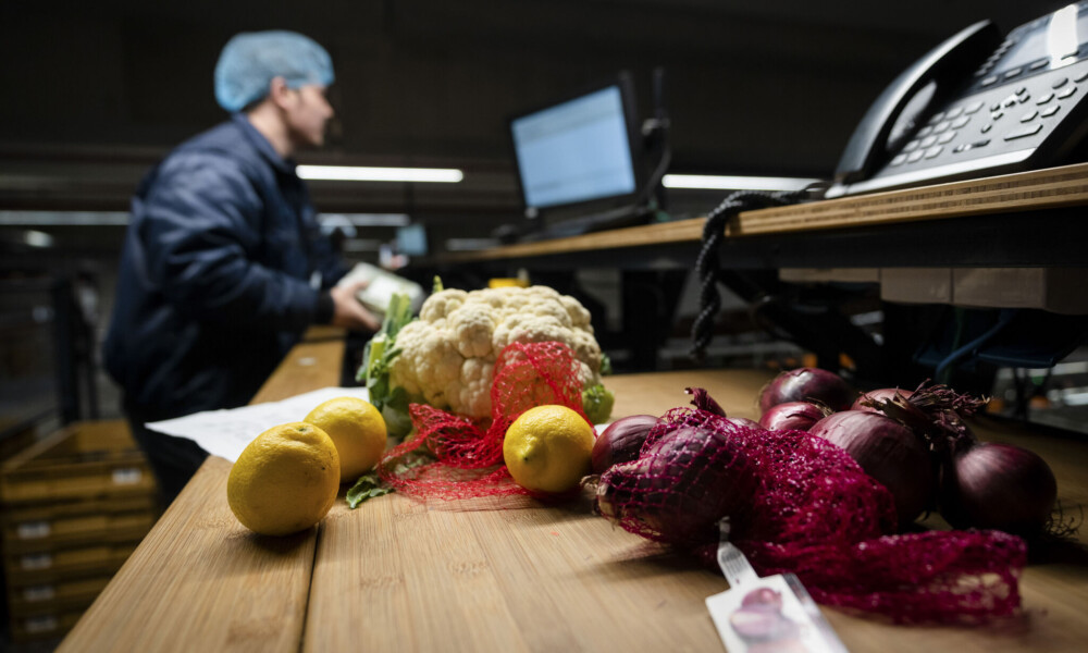 Twee Verspacten, één missie: een toekomstbestendige verslogistiek