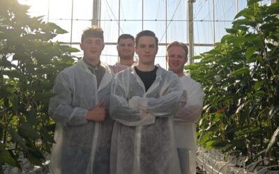 Studenten verkopen duurzame basilicum uit paprikakas via BoereGoed