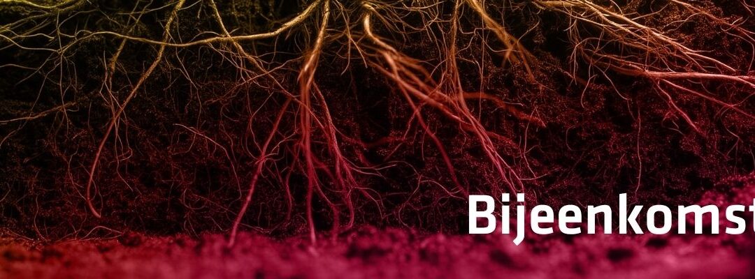 Partnerbijeenkomst Innovatiepact over rol bedrijven in transities 